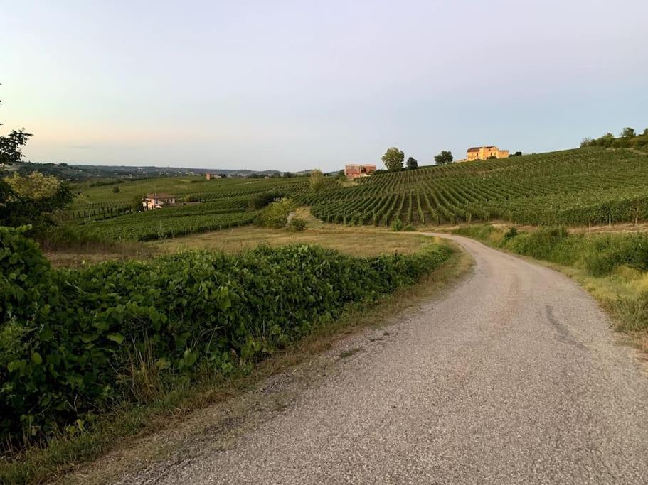 Apart-Agriturismo "La Colomba" Nizza Monferrato Exteriér fotografie